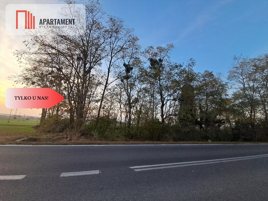 Działka budowlana na sprzedaż Wołów  991m2 Foto 4