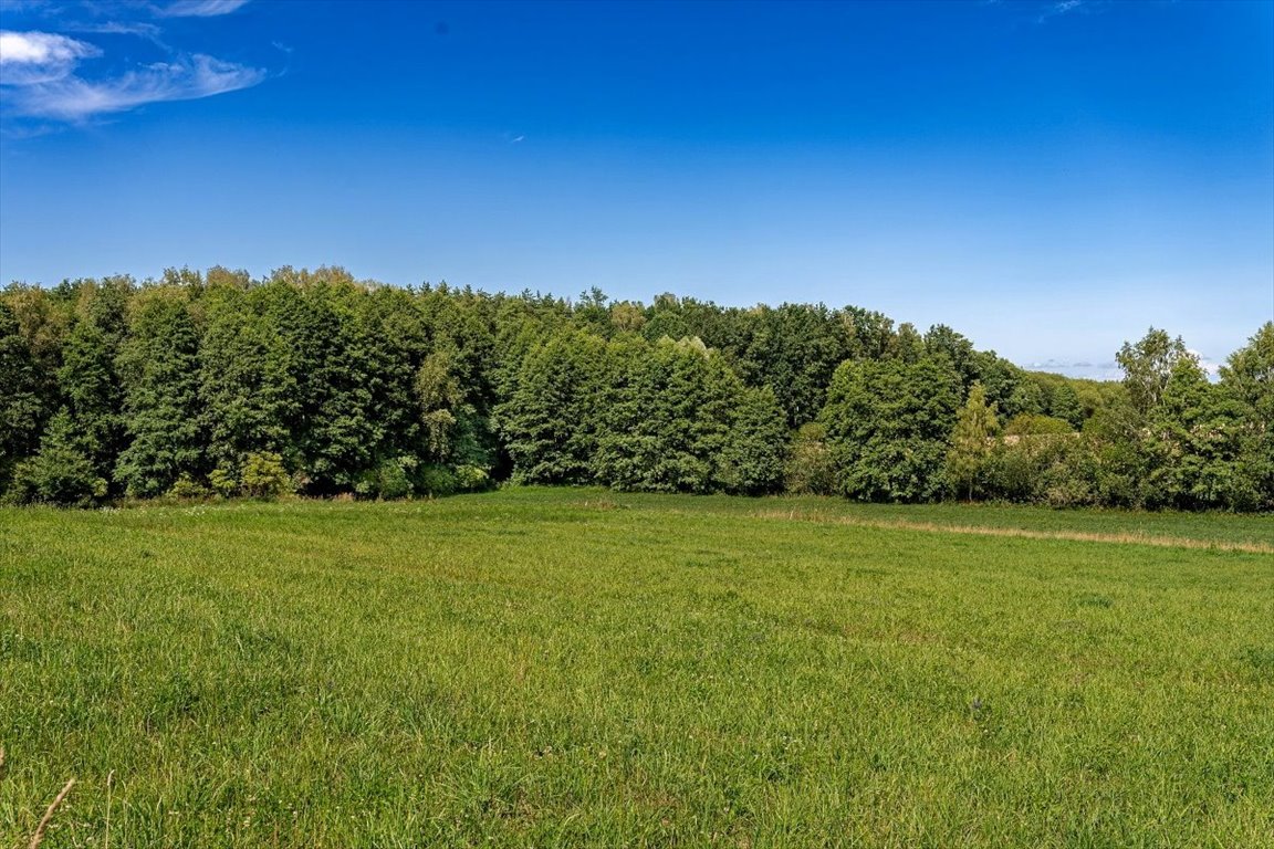 Działka budowlana na sprzedaż Bogacko, Bogacko  3 870m2 Foto 17