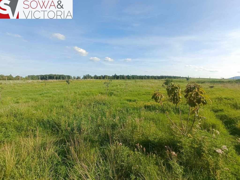 Działka inna na sprzedaż Cieszów  4 624m2 Foto 4