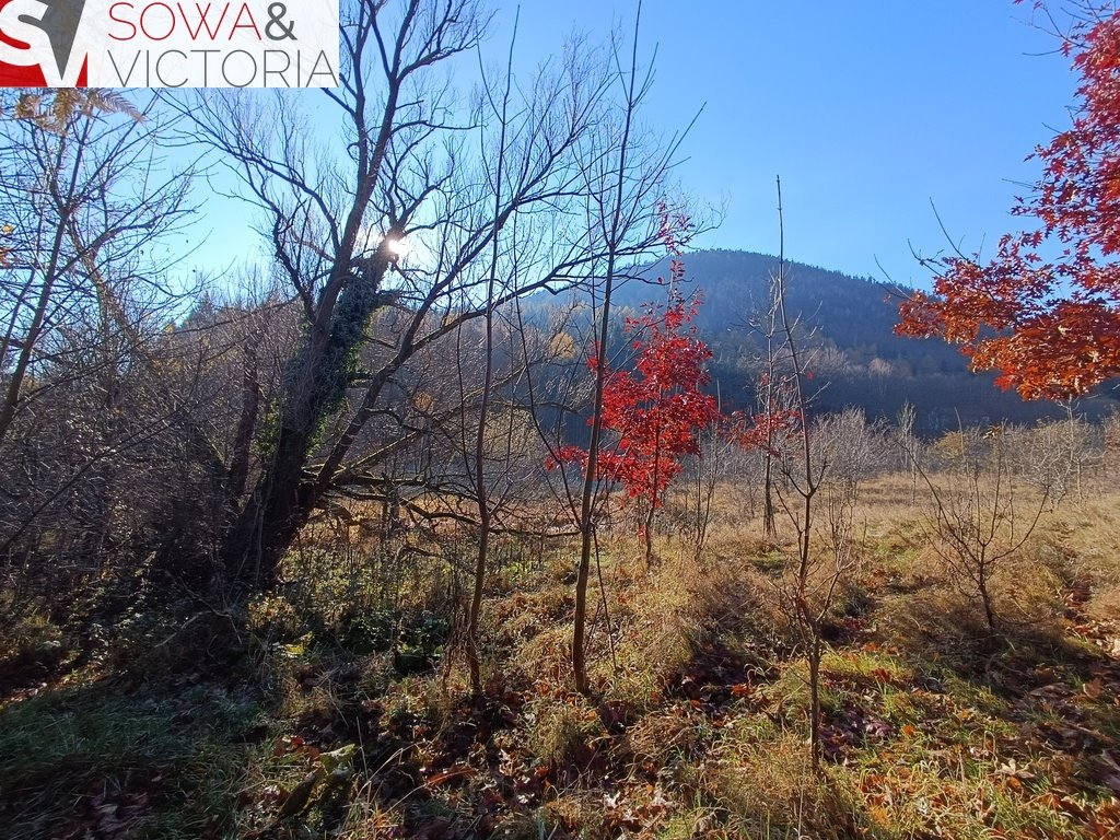 Działka budowlana na sprzedaż Jedlina-Zdrój, Kamieńsk  3 900m2 Foto 5