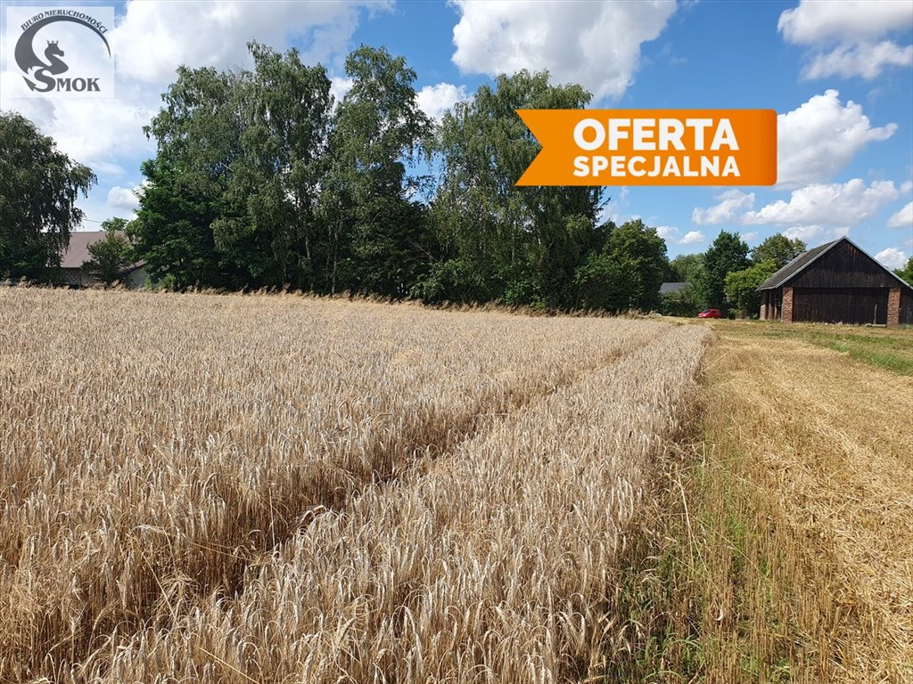 Działka 3,2 ha z widokiem na góry, teren budowlany Chocznia, Stawy  3 200m2 Foto 1