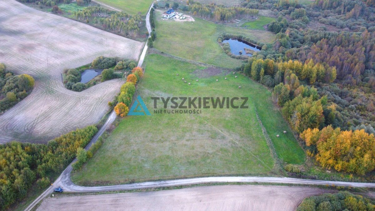Działka siedliskowa na sprzedaż Olszanka, Malinowa  4 000m2 Foto 6