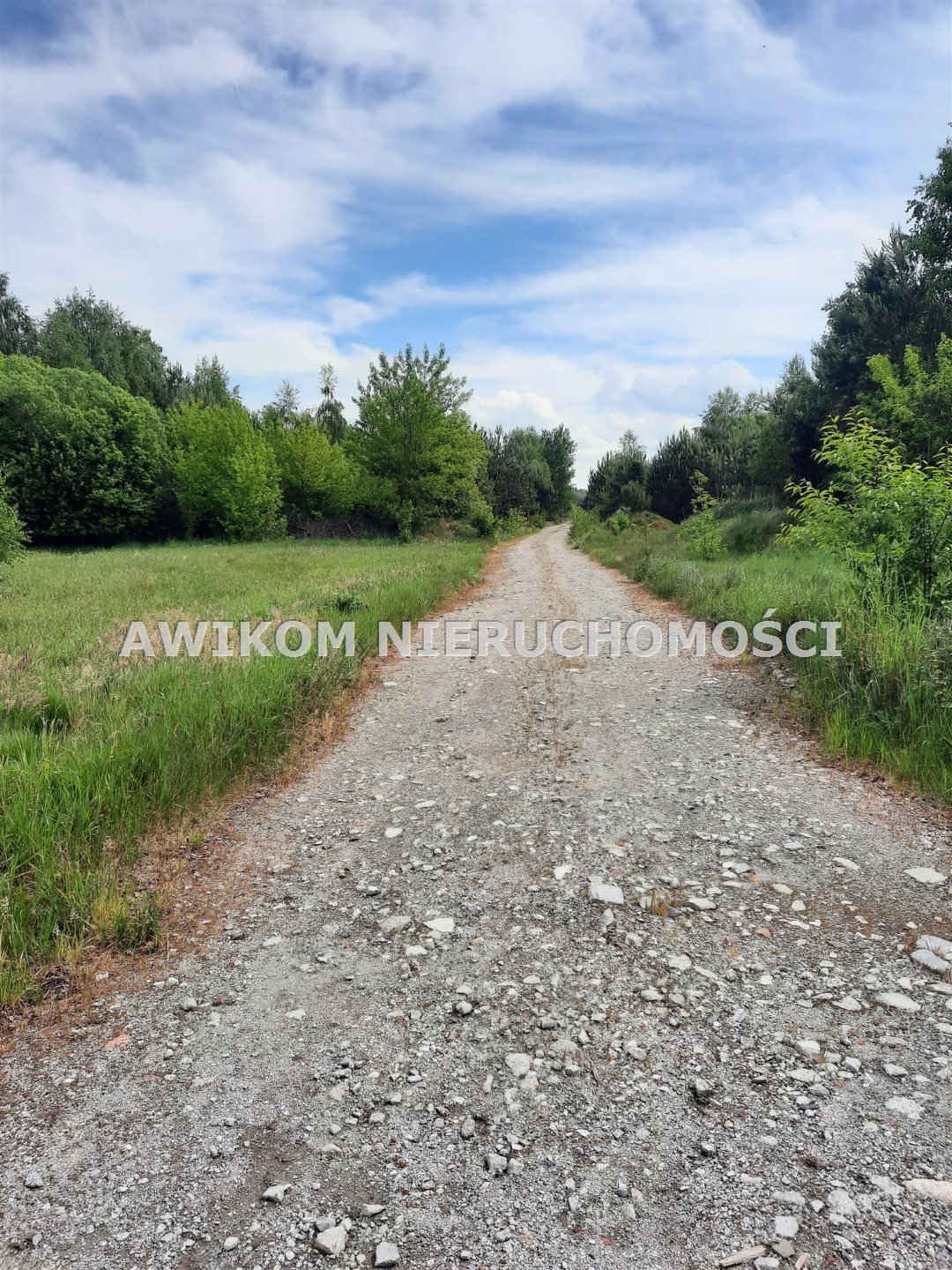 Działka rolna 3289 m² w zielonej okolicy, idealna pod rekreację Puszcza Mariańska, Wycześniak  3 289m2 Foto 1