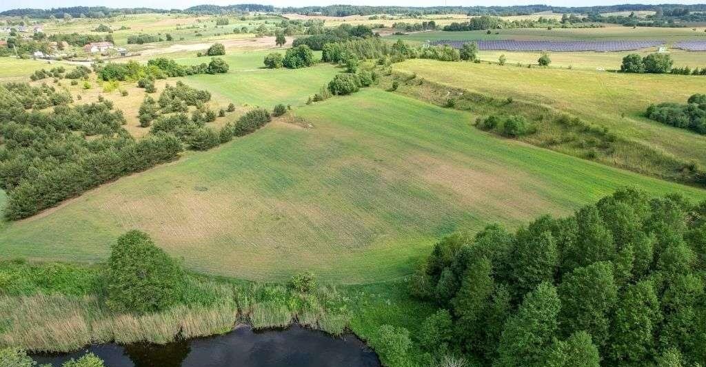 Działka rolna na sprzedaż Straduny  3 000m2 Foto 15