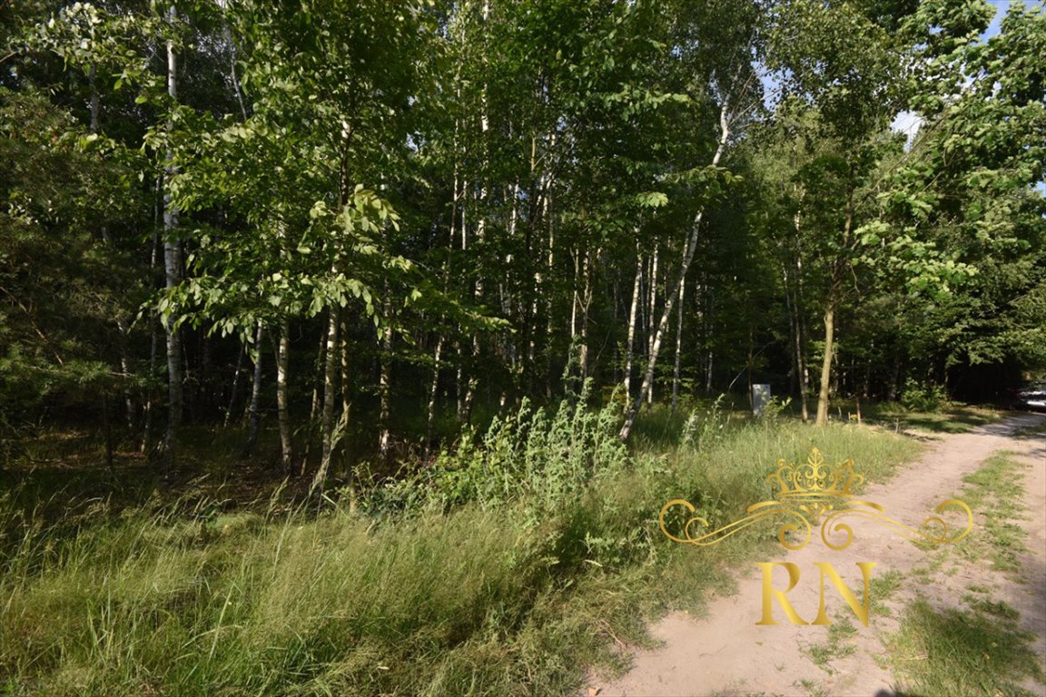 Działka rekreacyjna na sprzedaż Pałecznica  1 000m2 Foto 4