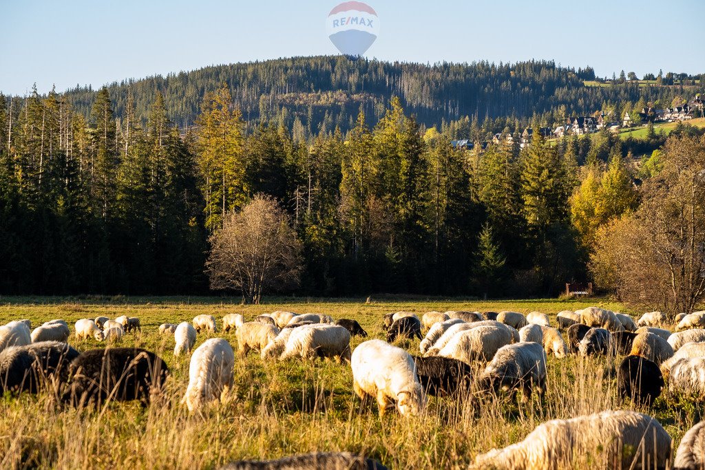 Działka rolna na sprzedaż Kościelisko  2 957m2 Foto 20