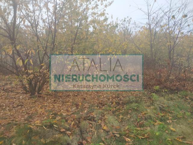 Na sprzedaż działka 1120 m² w Kaniach z możliwością dokupienia Kanie  1 120m2 Foto 1