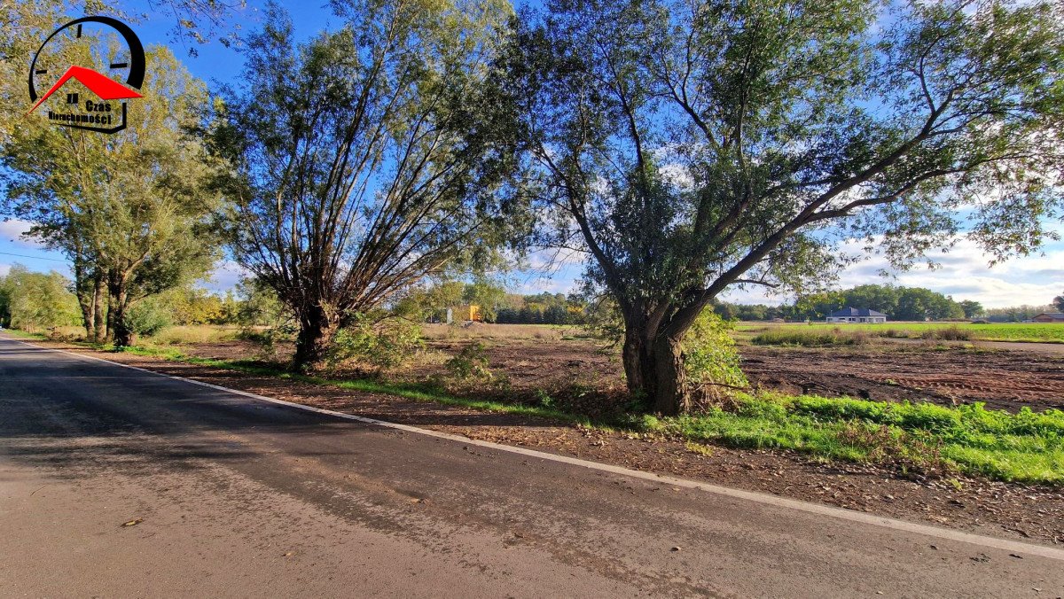 Działka budowlana na sprzedaż Łojewo  1 000m2 Foto 3