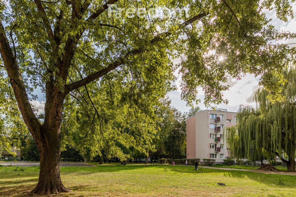 Mieszkanie dwupokojowe na sprzedaż Warszawa, Wiartel  37m2 Foto 5