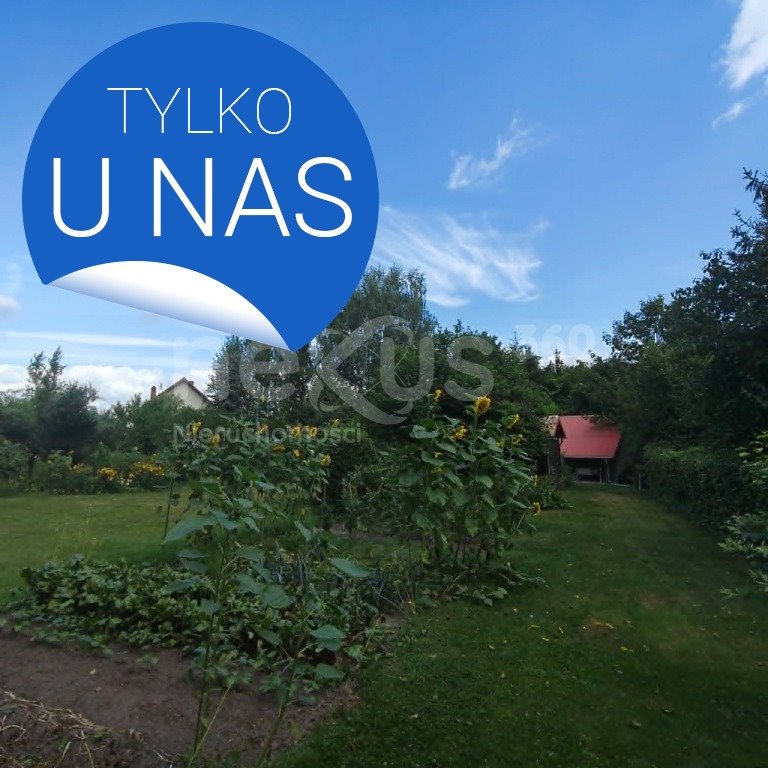 Zdjęcie 5