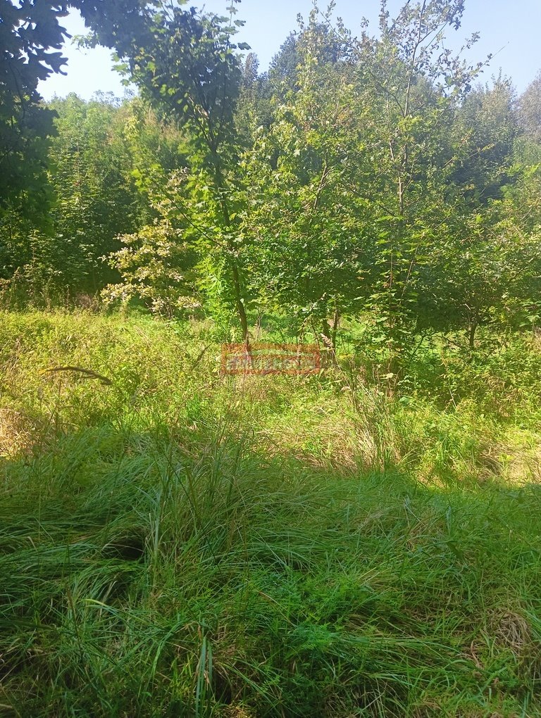 Działka budowlana na sprzedaż Sułków  1 220m2 Foto 7