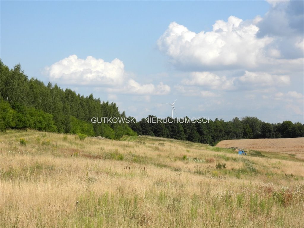 Sprzedam działkę letniskową z widokiem na jezioro i las Lekarty  5 621m2 Foto 1