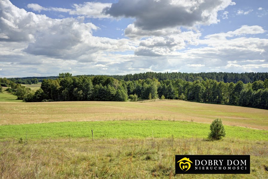 Działka rolna na sprzedaż Stara Kamionka  3 000m2 Foto 12