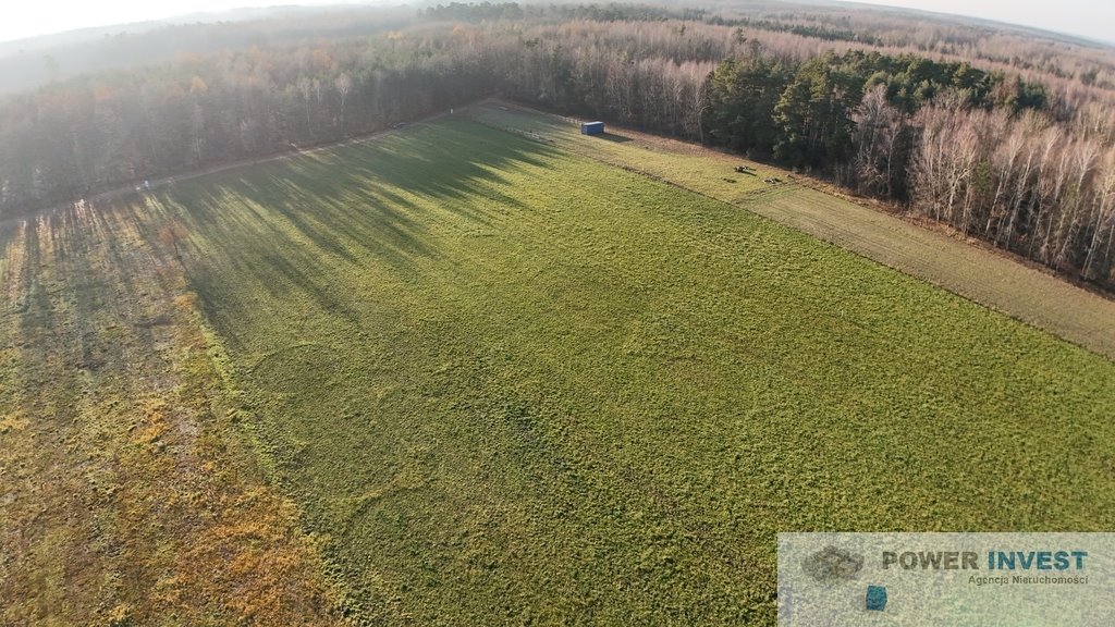 Działka budowlana na sprzedaż Powązki  9 700m2 Foto 3