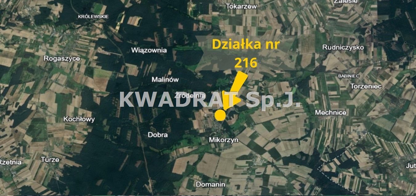 Działka rolna na sprzedaż Mikorzyn  10 400m2 Foto 3