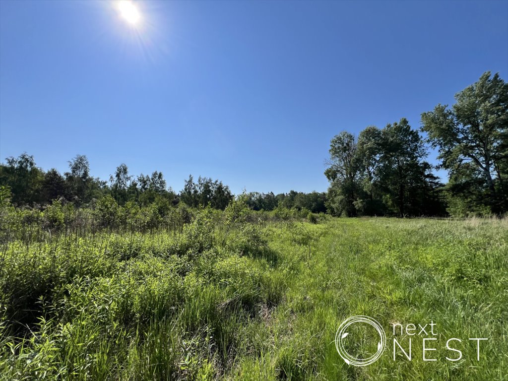 Działka budowlana na sprzedaż Chojnów, Partyzantów  1 834m2 Foto 7