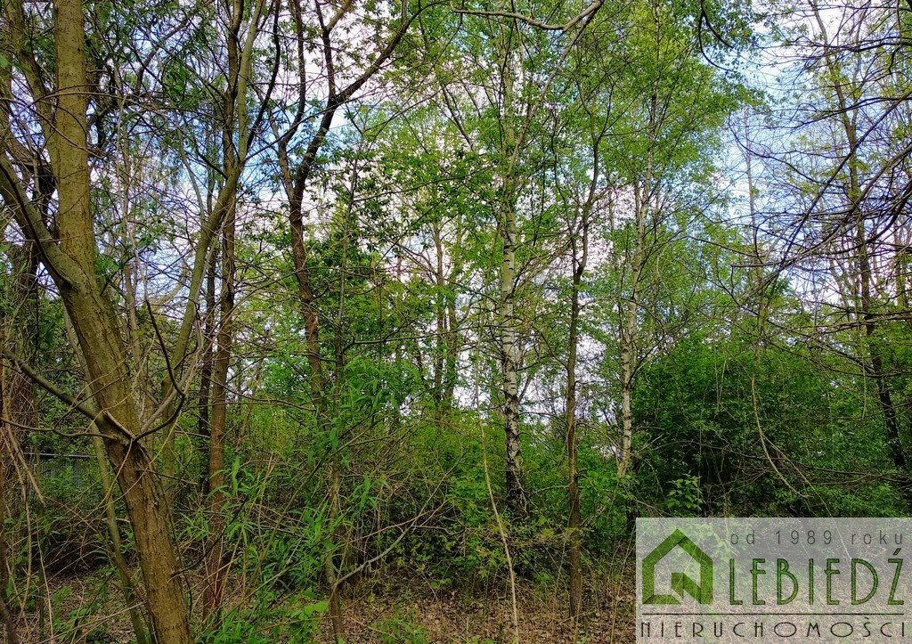 Działka budowlana na sprzedaż Klaudyn, M. Ogińskiego 1 296m2 Foto 1 Działka budowlana na sprzedaż Klaudyn, M. Ogińskiego 1 296m2 Foto 1