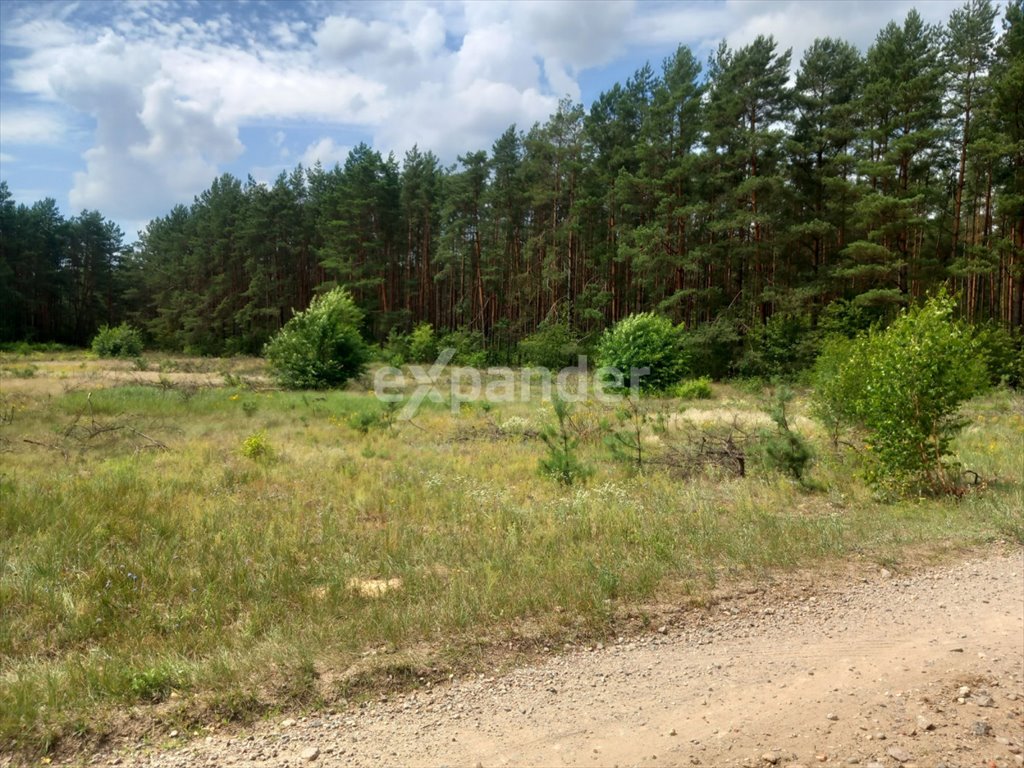 Działka budowlana na sprzedaż Wólka, Rumunki Wólczańskie  4 280m2 Foto 1