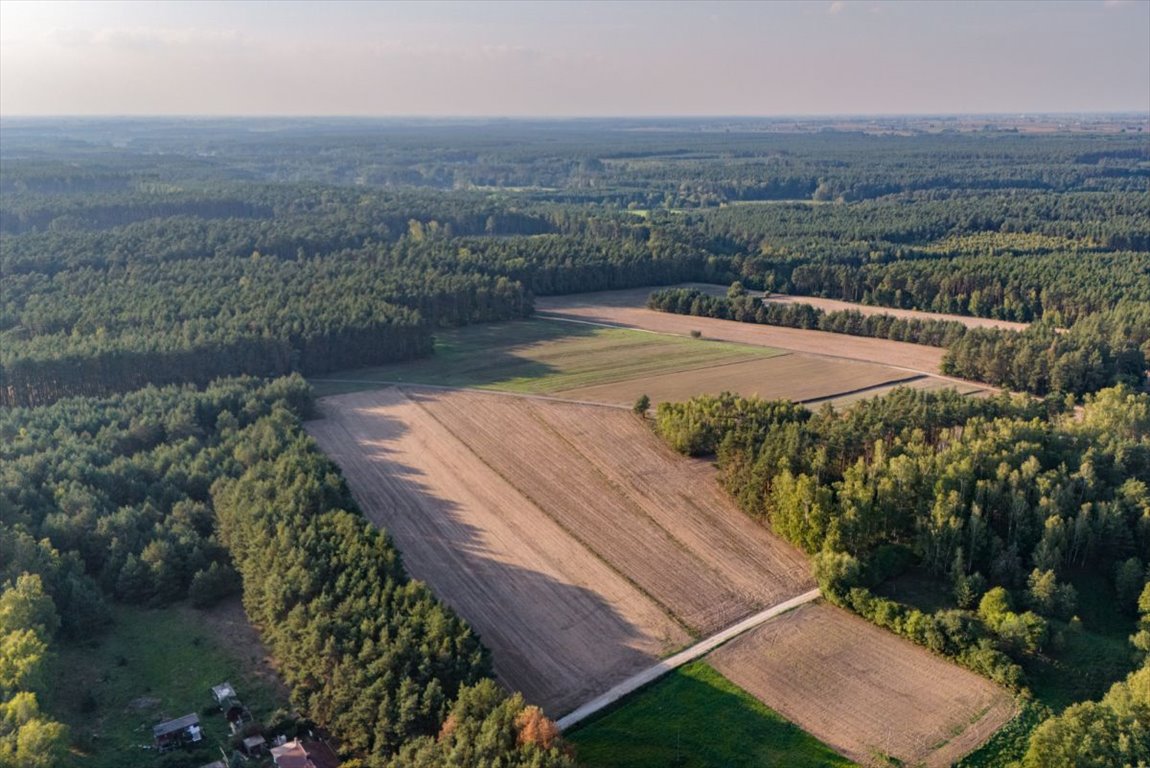 Działka rolna na sprzedaż Jesionka  6 800m2 Foto 8