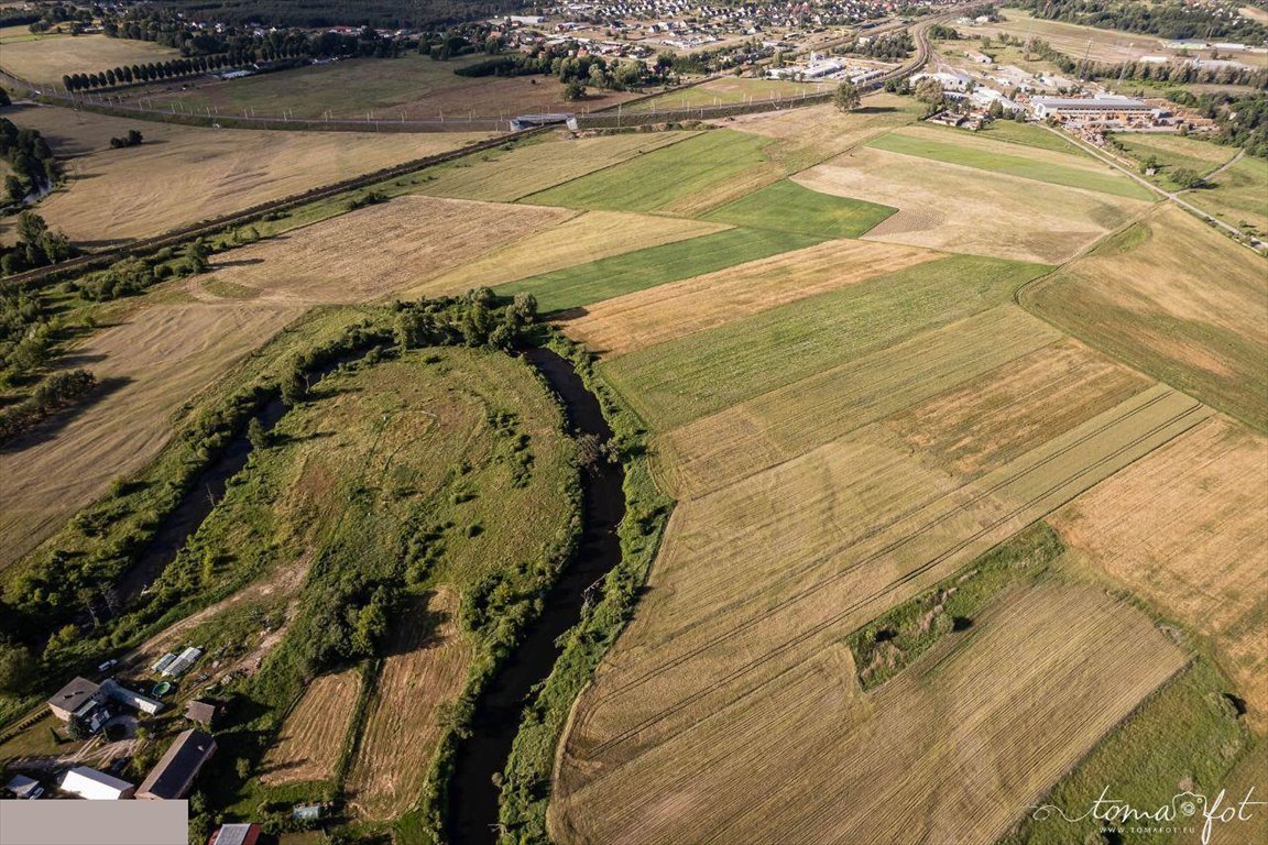 Działka rekreacyjna na sprzedaż Bielice Nowe  1 500m2 Foto 6