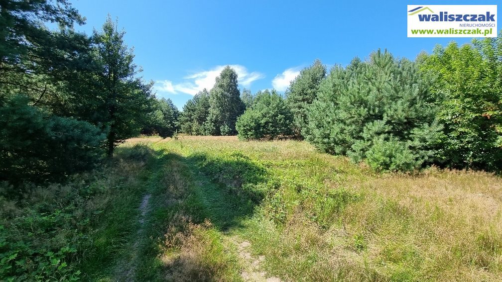 Działka leśna na sprzedaż Kuźnica Żerechowska  5 400m2 Foto 1