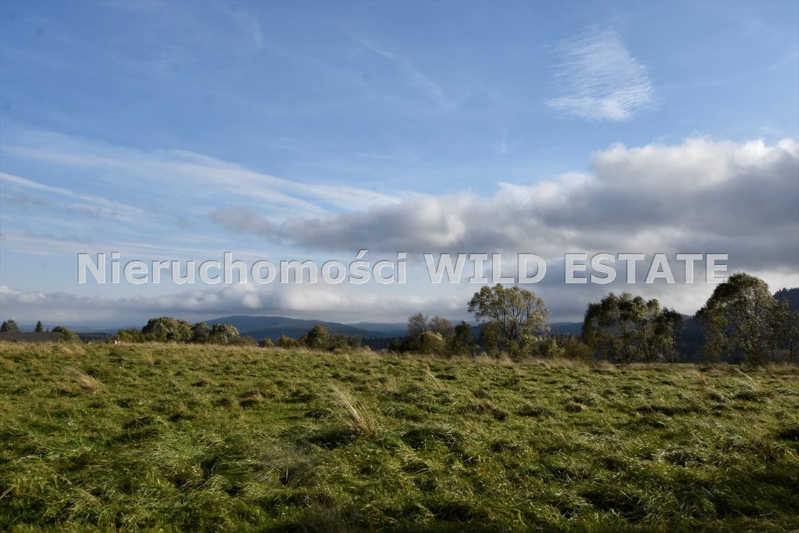 Działka 2,38 ha z pozwoleniem na dom w Bieszczadach Lutowiska, Lutowiska  23 800m2 Foto 1
