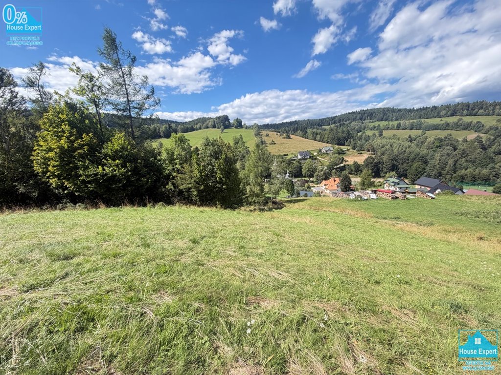 Sprzedam działkę 2500 m² w Łabowej z widokiem na góry Łabowa  2 500m2 Foto 1