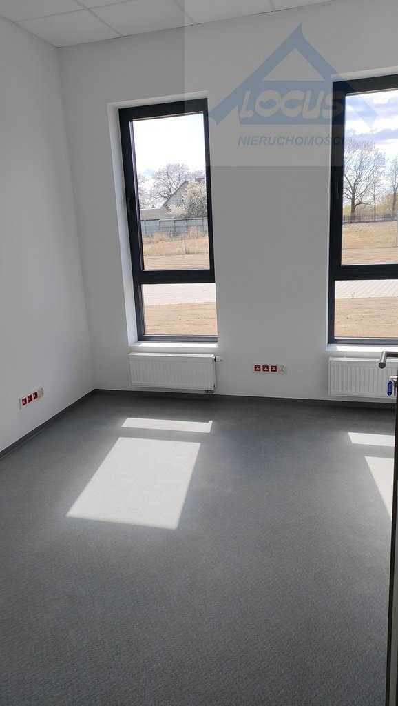 Magazyn na wynajem Macierzysz  723m2 Foto 14