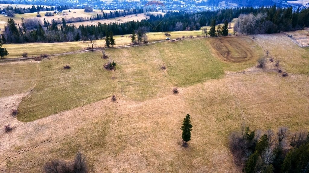 Działka budowlana na sprzedaż Gliczarów Dolny  12 182m2 Foto 15