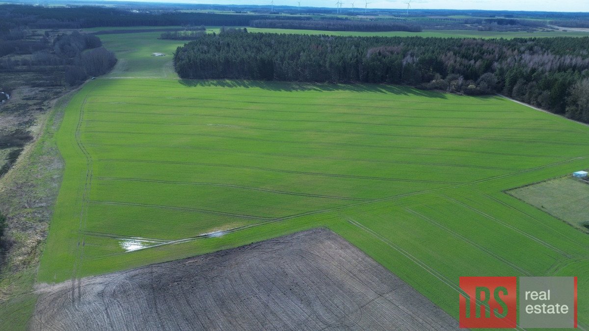 Działka budowlana na sprzedaż Niemierze  3 000m2 Foto 2