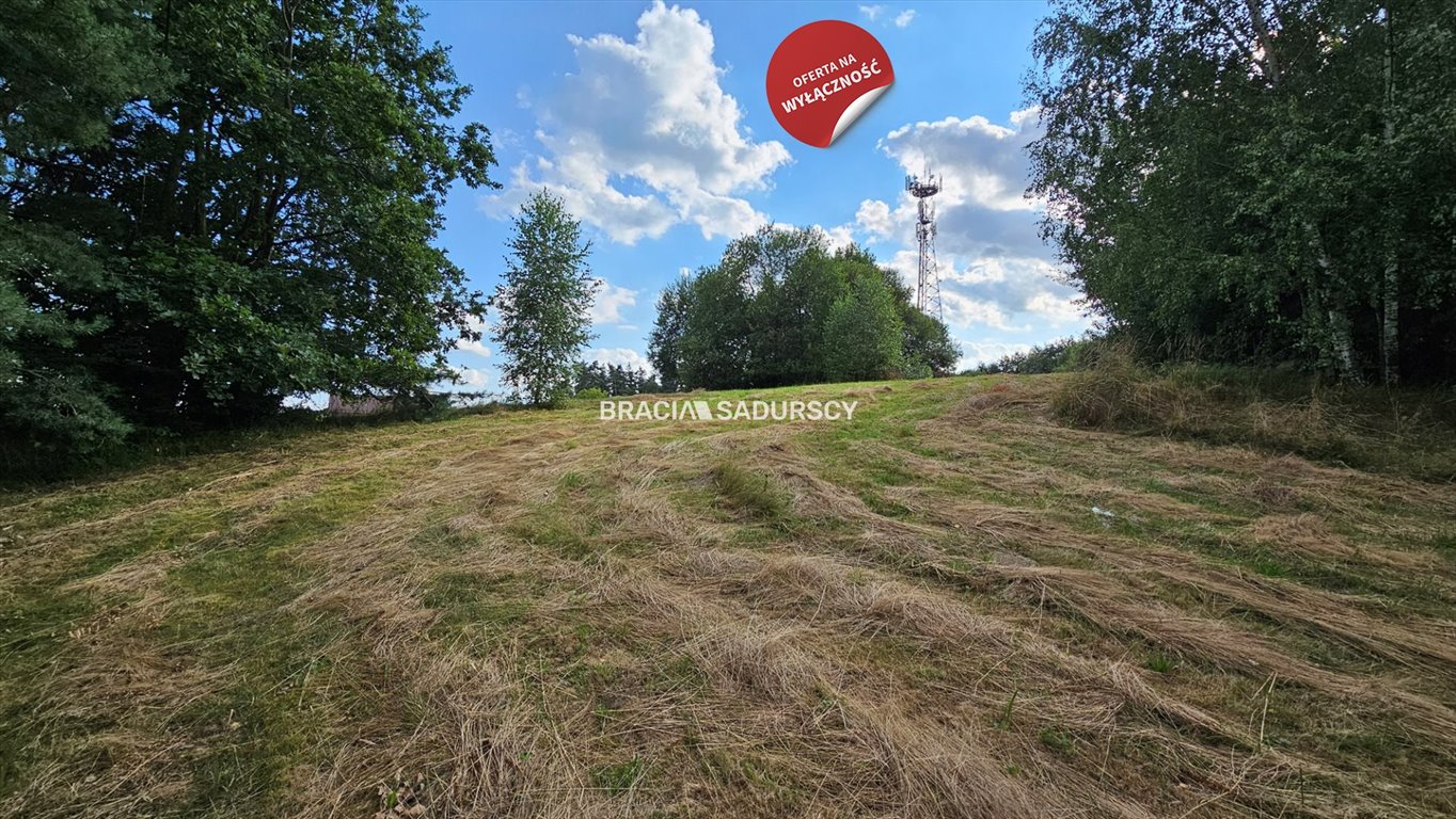 Działka budowlana na sprzedaż Połom Duży  3 500m2 Foto 7