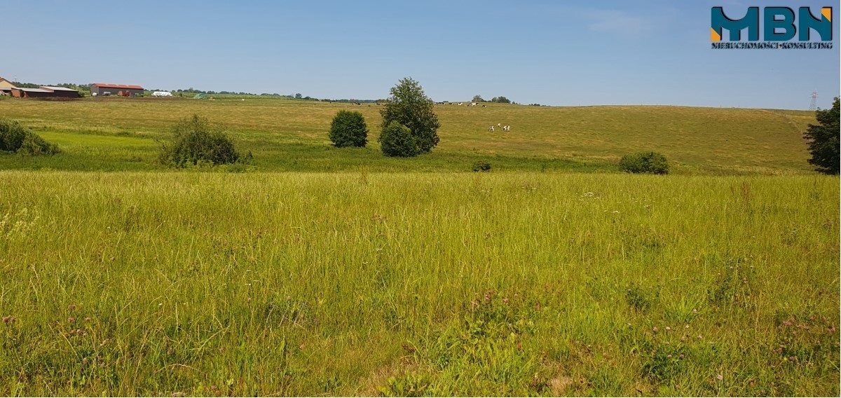 Działka rolna na sprzedaż Stręgielek, Stręgielek  3 054m2 Foto 15