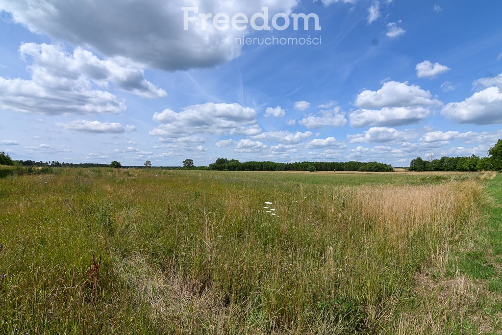 Działka rolna na sprzedaż Szwecja  4 800m2 Foto 4