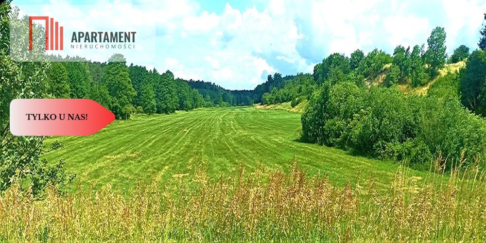 Działka gospodarstwo rolne na sprzedaż Pawłówek  18 380m2 Foto 7