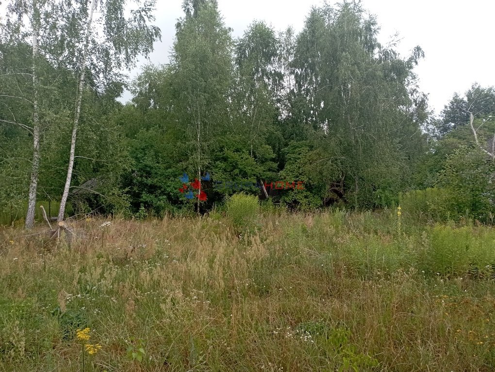 Działka 2500 m² z domem i budynkami pod bliźniaka. Gabryelin  2 500m2 Foto 1