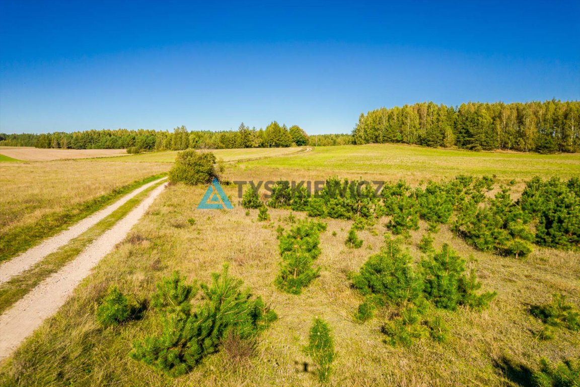 Działka rolna na sprzedaż Skorzewo  52 678m2 Foto 3