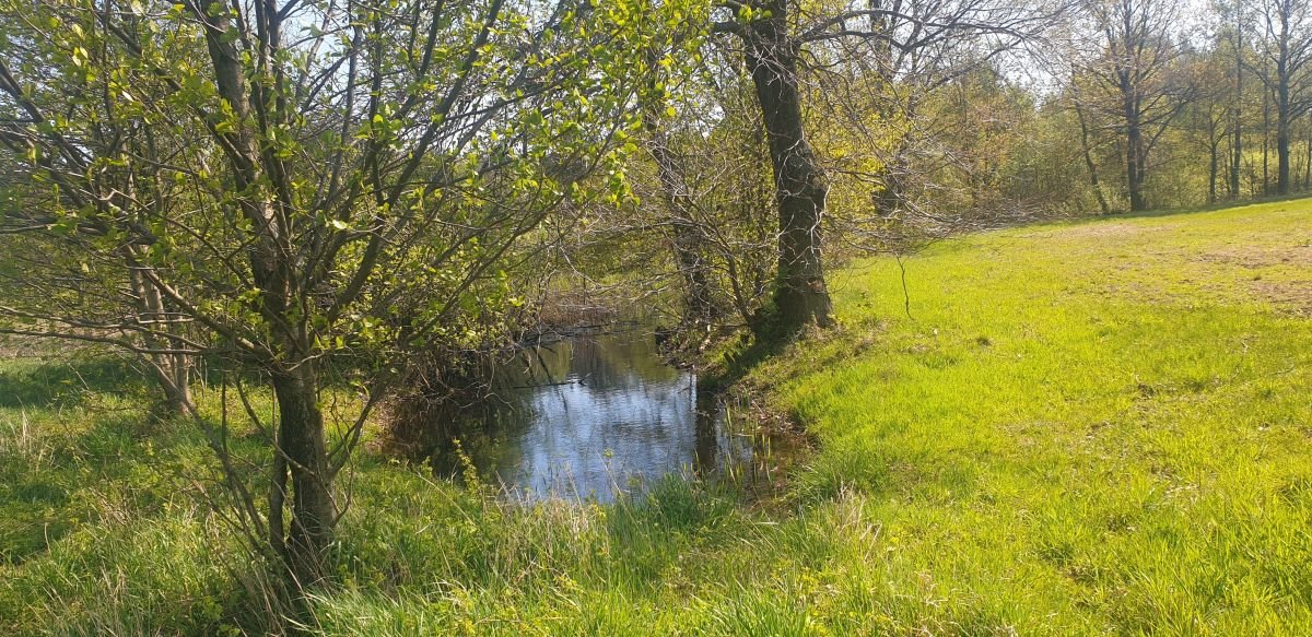 Działka budowlana na sprzedaż Józefów, Józefów gmina Dąbrówka  10 744m2 Foto 13