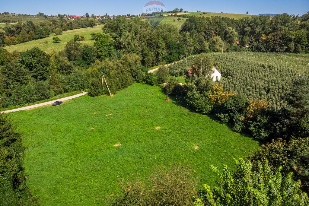 Działka budowlana na sprzedaż Pogorzany  8 711m2 Foto 8