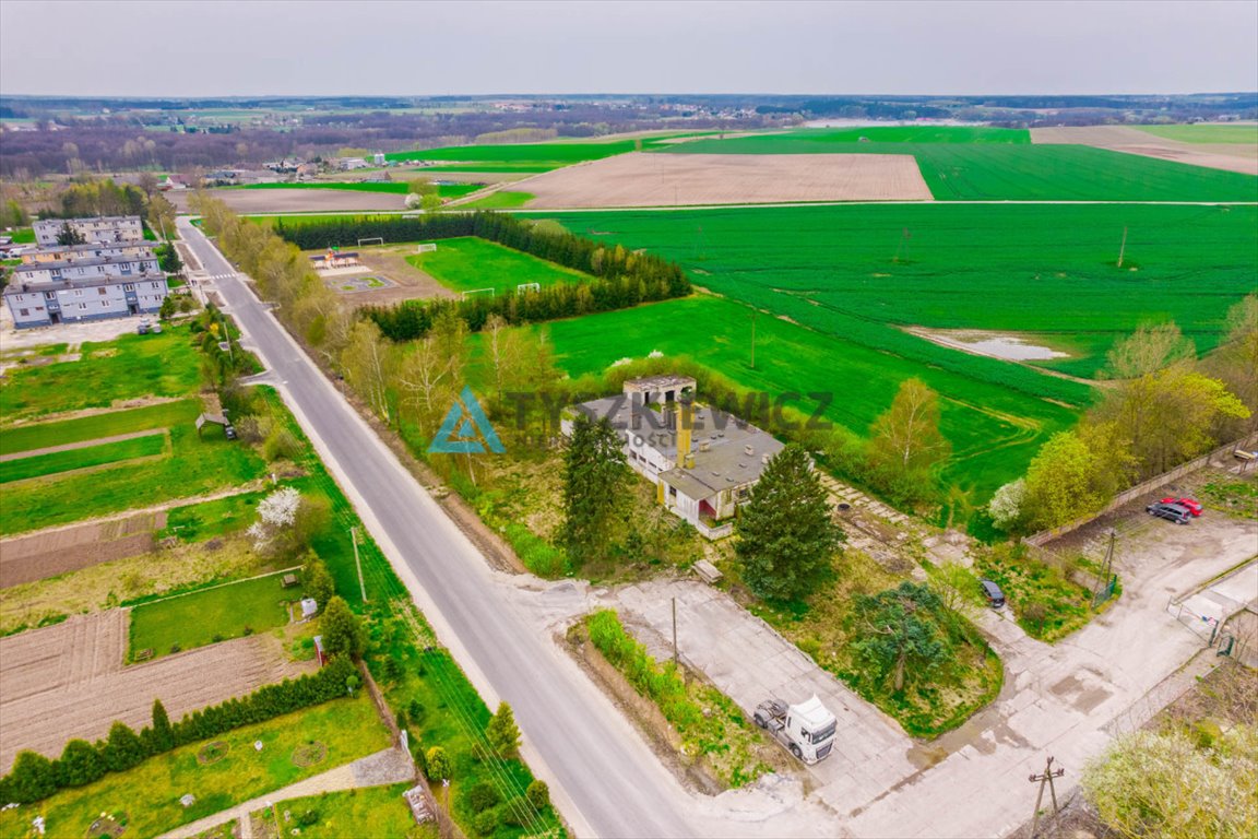 Działka rolna na sprzedaż Duża Cerkwica  10 091m2 Foto 3