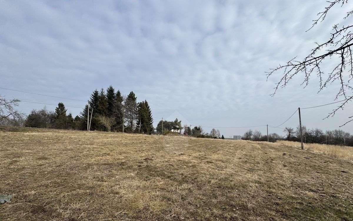 Działka budowlana na sprzedaż Grębynice, ul. Orlich Gniazd  1 650m2 Foto 5
