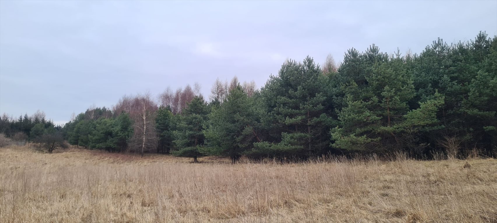 Działka budowlana na sprzedaż Olkusz, Olkusz, Sikorka 89  12 147m2 Foto 8