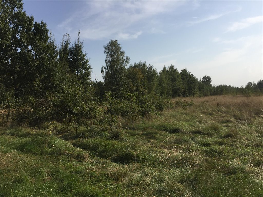 Działka 23 600 m² pod zabudowę i siedlisko w Klembowie Klembów  23 600m2 Foto 1