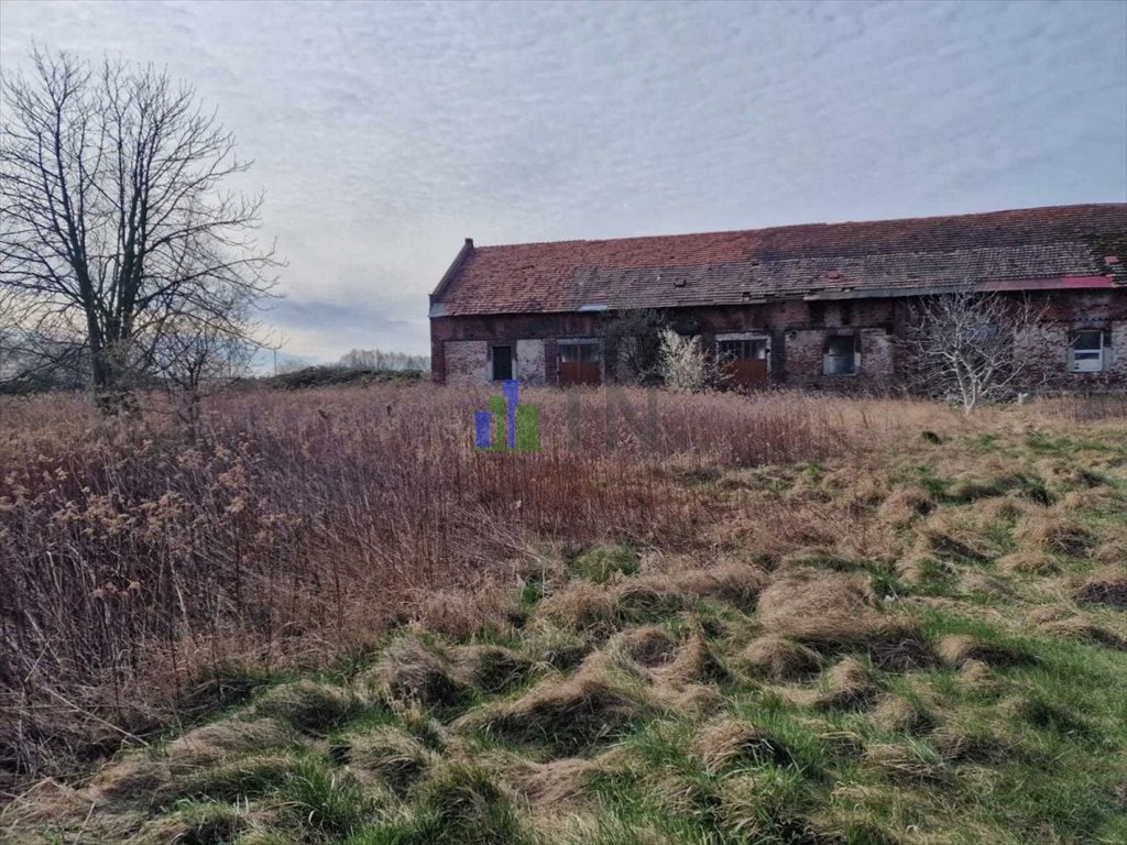 Działka budowlana na sprzedaż Jeszkowice  5 046m2 Foto 6