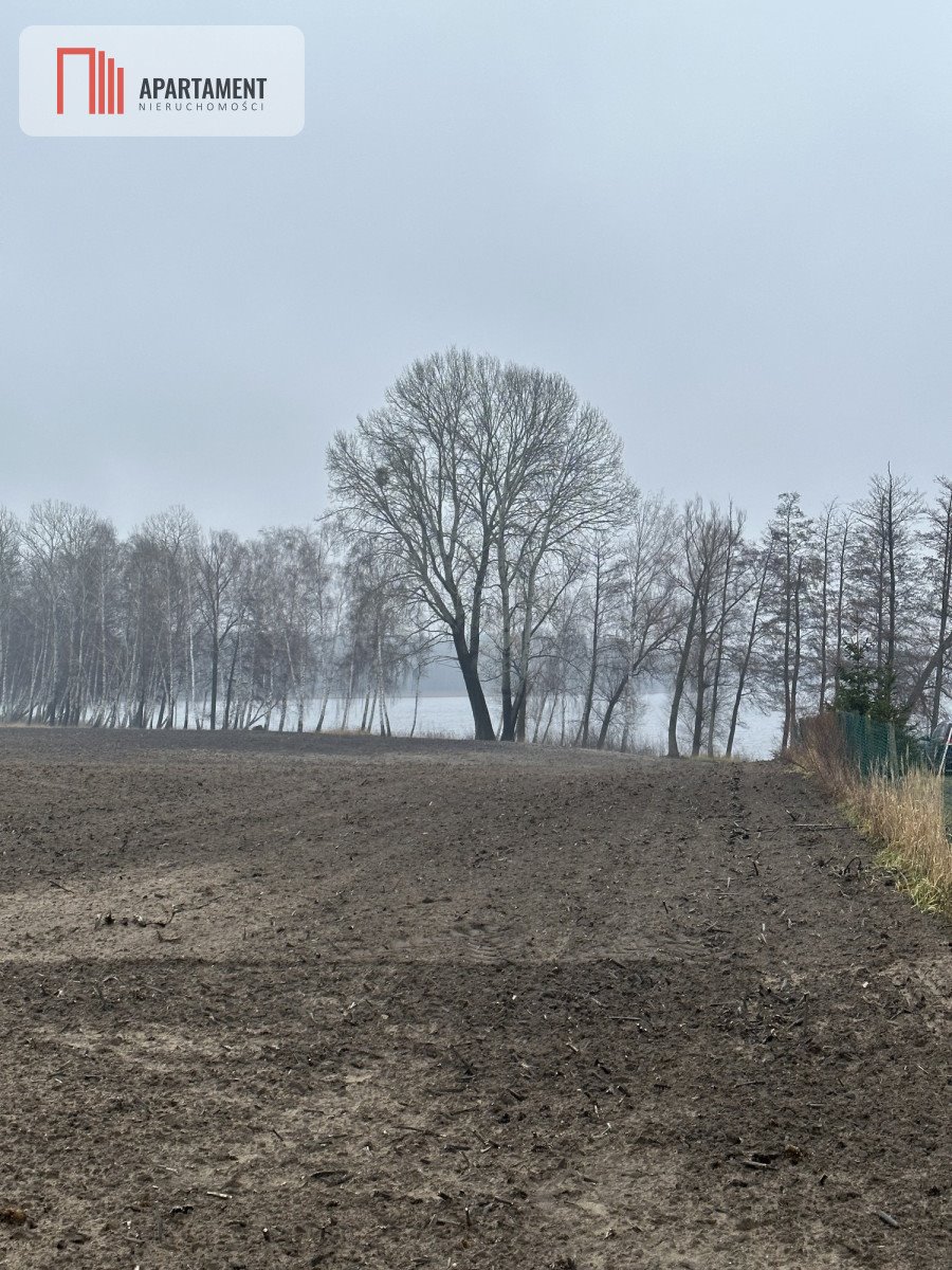 Działka gospodarstwo rolne na sprzedaż Głodowo  120 000m2 Foto 4