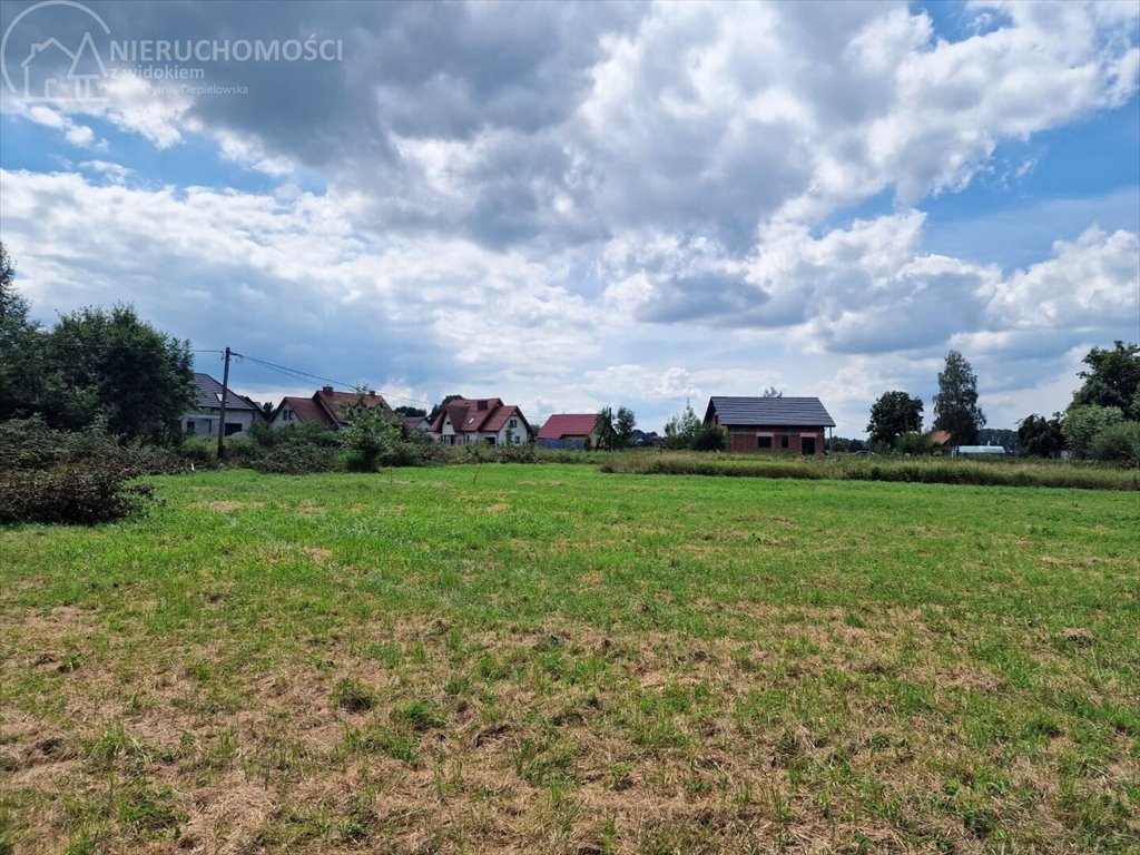 Działka budowlana na sprzedaż Krzeczów  1 100m2 Foto 11