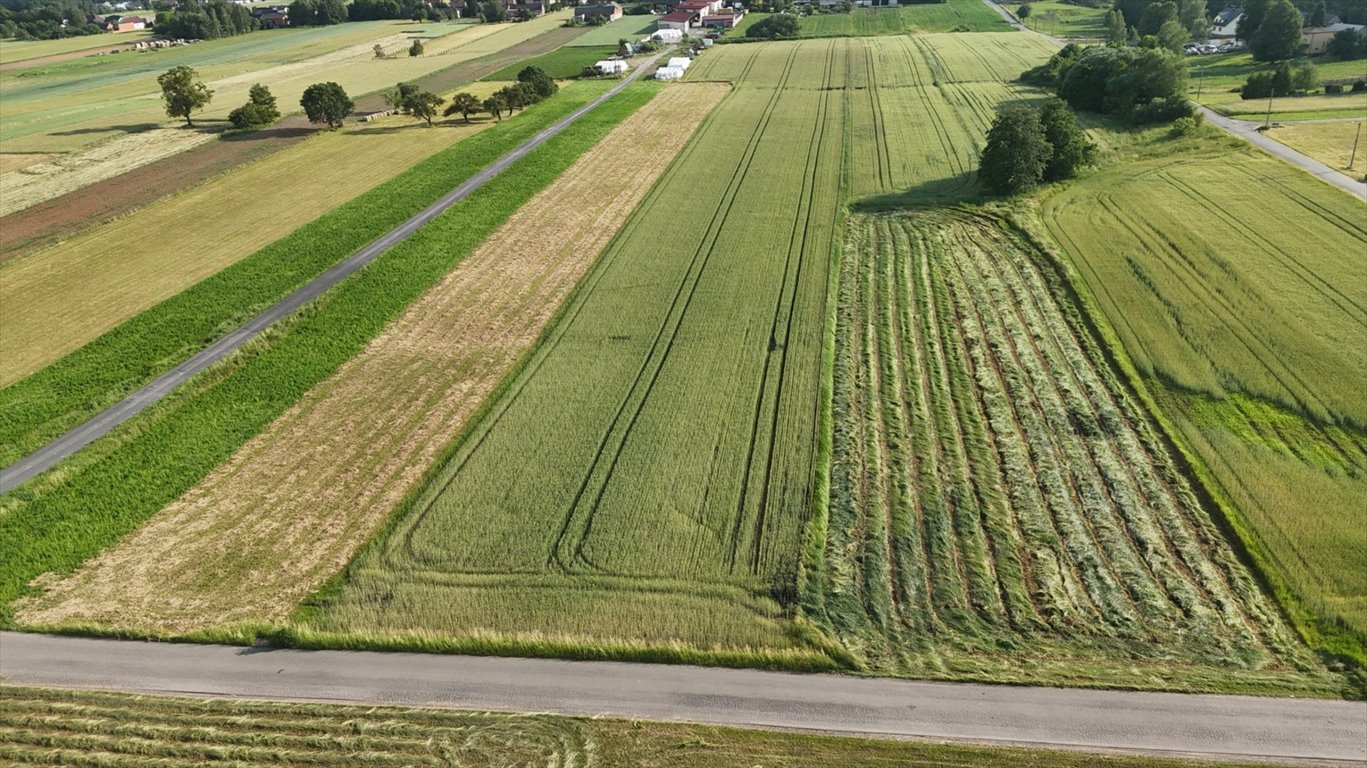 Działka rolna 8 512 m² w Żelisławicach - inwestycja i spokój Żelisławice, Kwiatowa  851 200m2 Foto 1