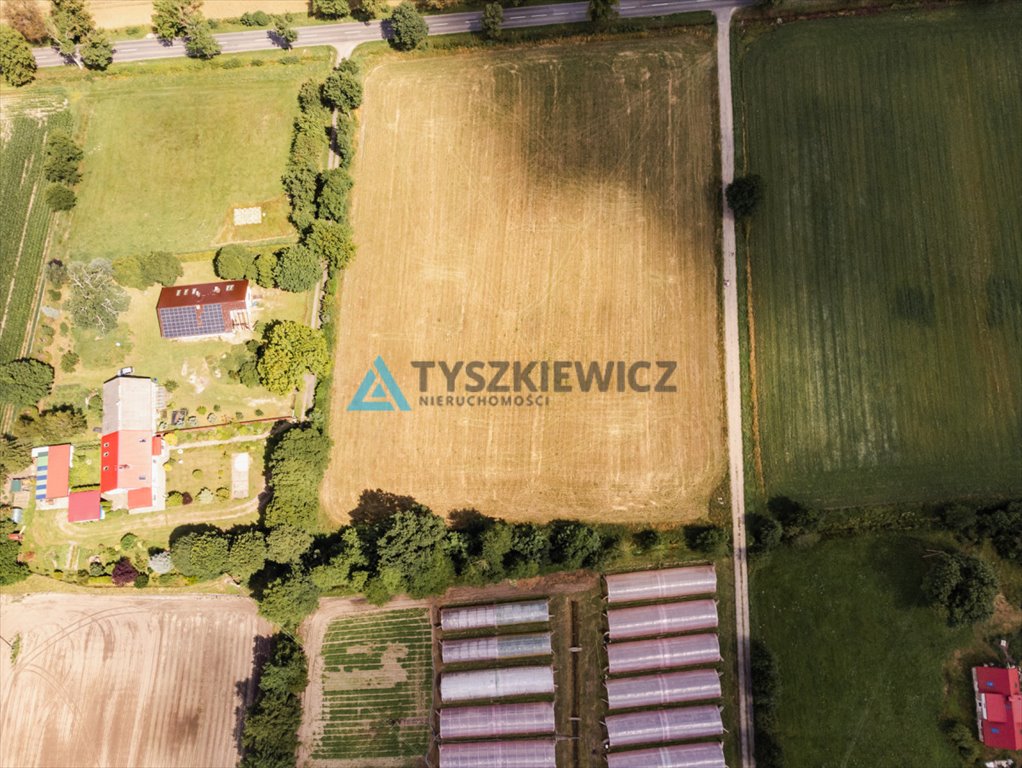 Działka budowlana na sprzedaż Kniewo, Radosna  4 412m2 Foto 5