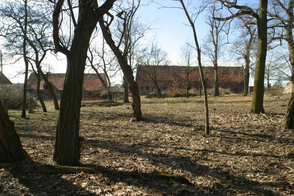 Lokal użytkowy na sprzedaż Wińsko  470 000m2 Foto 8