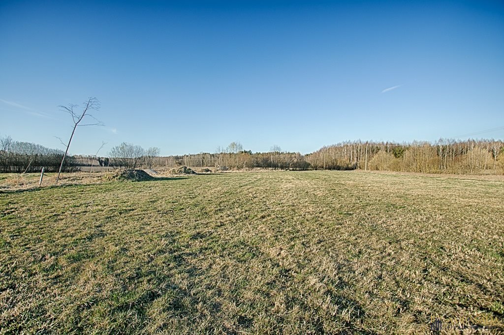 Działka 3260 m² w Folwarkach Wielkich – spokój i natura Folwarki Wielkie  3 260m2 Foto 1