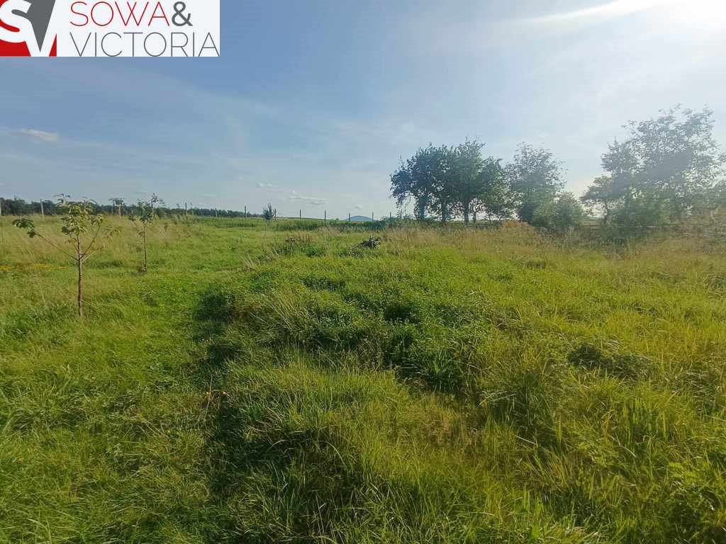 Działka inna na sprzedaż Cieszów  4 624m2 Foto 7